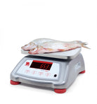 Ohaus Valor 4000 Stainless Steel Food Production Scales 